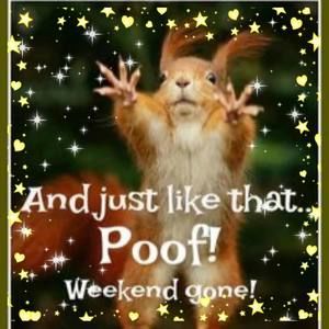 Meet your Posher, Jayla